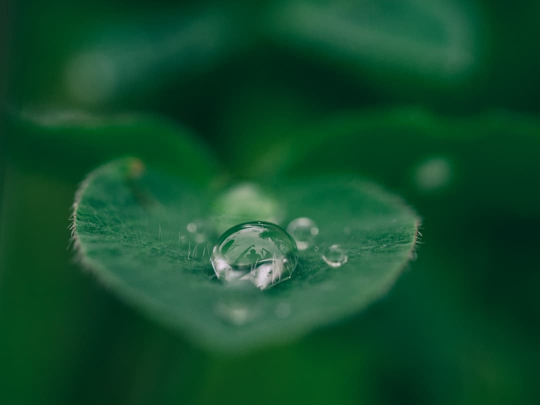 スパ